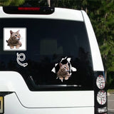 Custom Pet Photo Hole Car Decal Sticker Removable Waterproof Car Window Decal(2PCS)